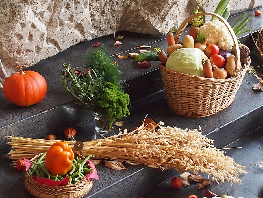ação de graças, comida, agricultura, outono, comida e bebida, vegetal, alimentação saudável, frescura, bem-estar, cesta