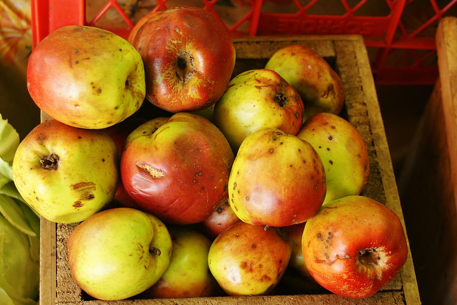 muitas maçãs, caixa, maçãs, frutas, comida, saudável, fruta, comida e bebida, alimentação saudável, frescura