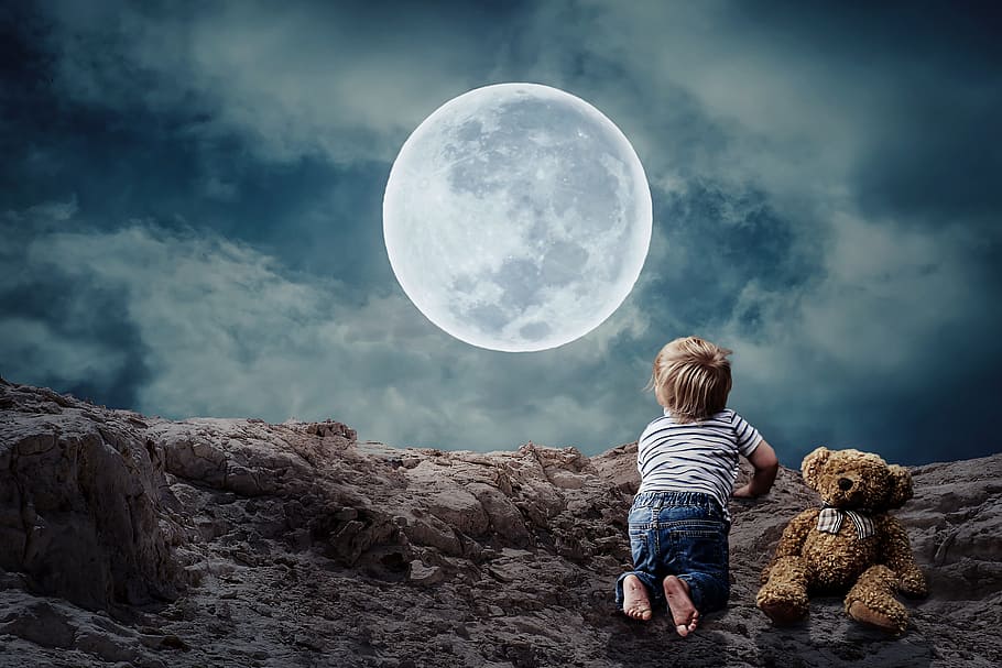 chico, al lado, oso, felpa, mirando, luna, buenas noches, niño pequeño, oso de peluche, luna llena