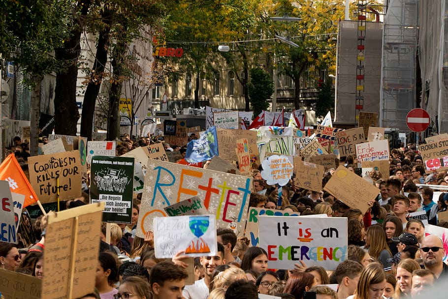perlindungan lingkungan, tunjukkan pada saya, aksi, protes, demonstrasi, mogok sekolah, protes iklim, perlindungan iklim, mogok, mogok mahasiswa