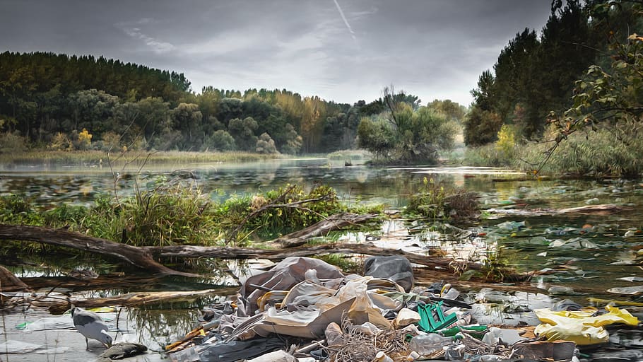 plastic, river, plastic waste, pollution, waste, water, environment, danube, composing, tree