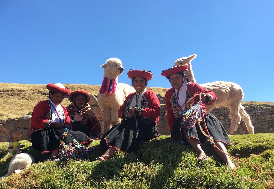 peru, andes, heritage, people, traditional, llamas, cultures, landscape, adult, men