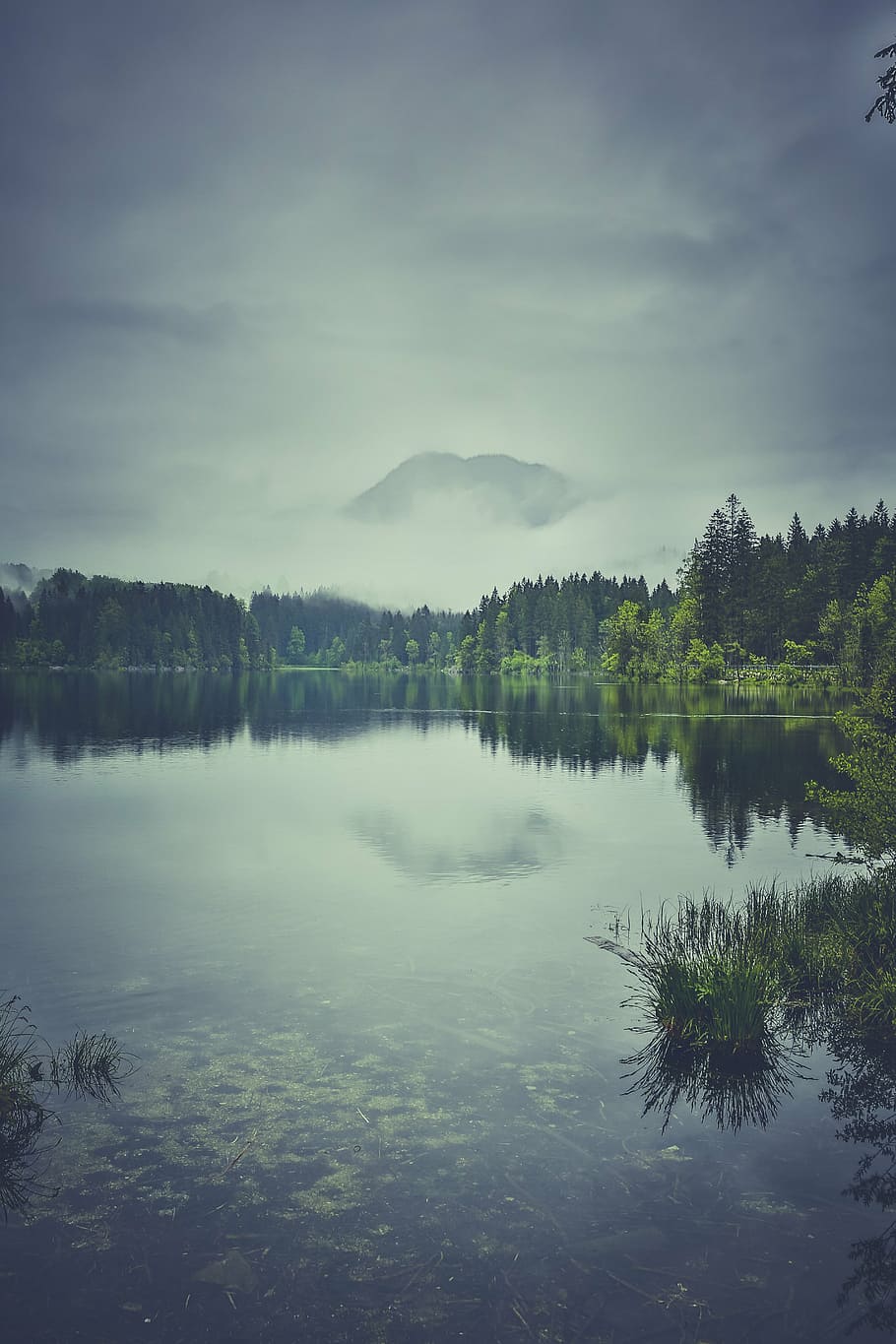 body, water, surrounded, pine trees, photography, trees, smoky, mountain, background, green