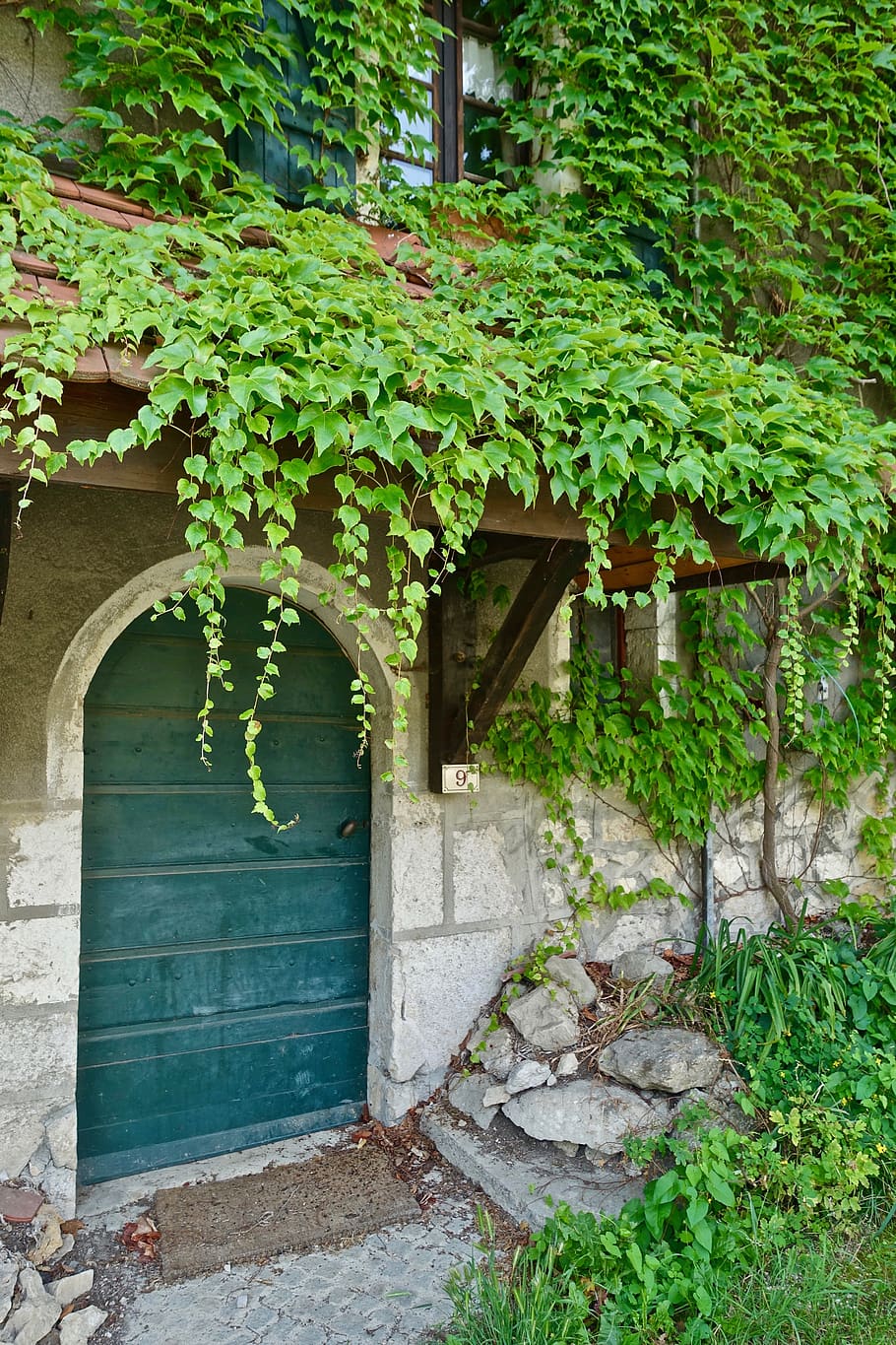 door, entrance, leaf, outdoors, house, garden, flora, natural, spring, botanical