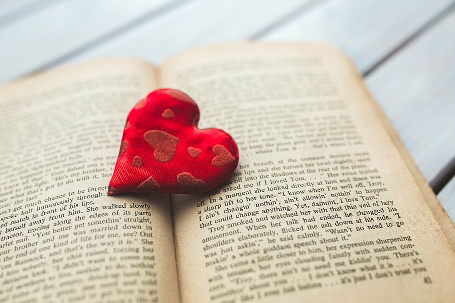 red, heart frame, brown, book page, heart, love, book, reading, words, typo