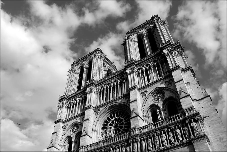 회색조 사진, 구조, 파리, 노트르담, 성당, 교회, 프랑스, ​​건축물, 기념물, 자본금