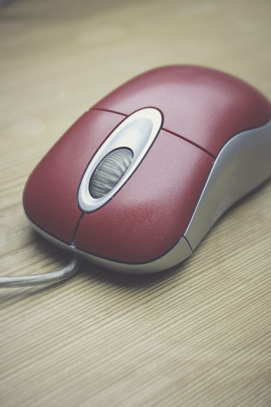 focus photo, red, mouse, computer, input, device, hardware, pc, information, click