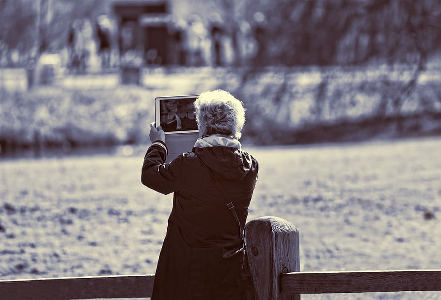 woman, taking, pond, daytime, lady, elderly lady, person, shooting, tablet, taking a picture