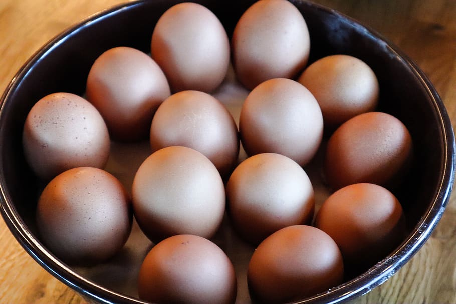 egg, food, delicious, protein, breakfast, yolk, kitchen, -range eggs, bauer, hahn