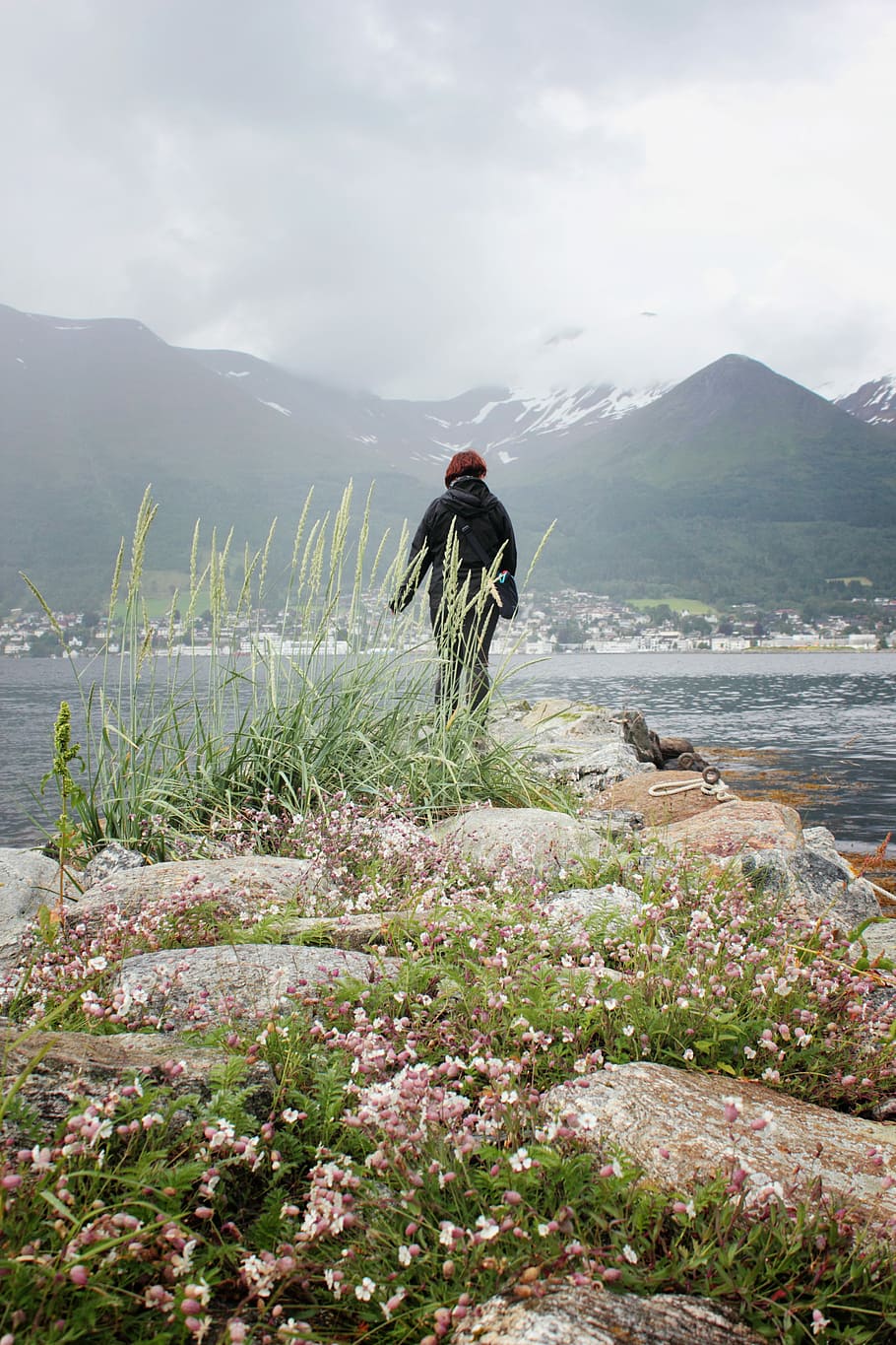 person, black, jacket, standing, rock formation, looking, sea, daytime, bloom, flowers