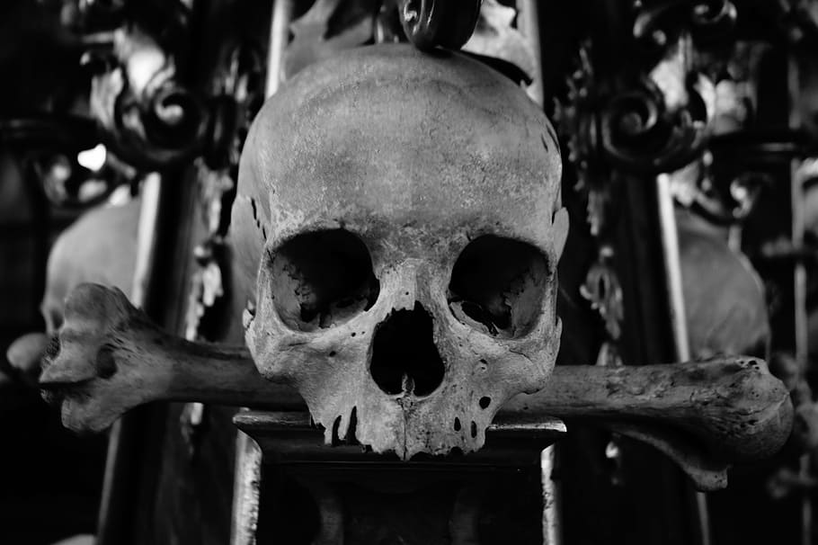 grayscale photo, skull, skull and crossbones, bone church, church, kutna hora, sedlec, ossuary, old, bone