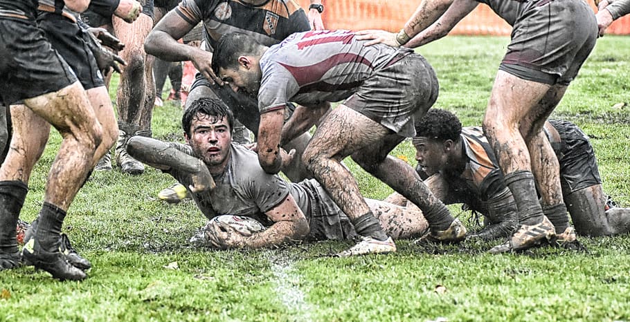 rugby, mud, try, college, mammal, people, group of people, men, animal wildlife, grass