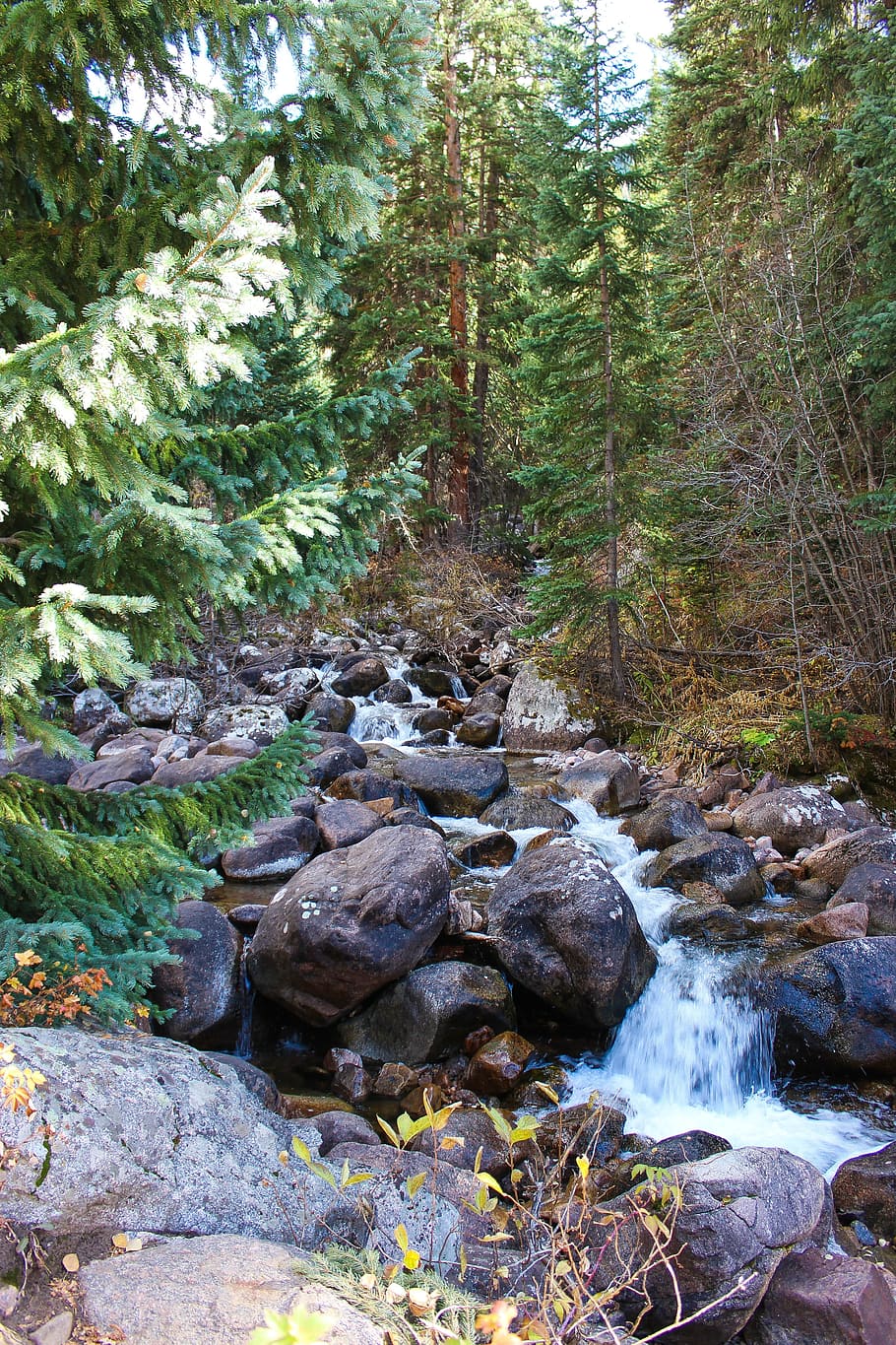 Colorado, Creek, Water, River, Nature, rocky mountains, hiking, scenic, autumn, fall