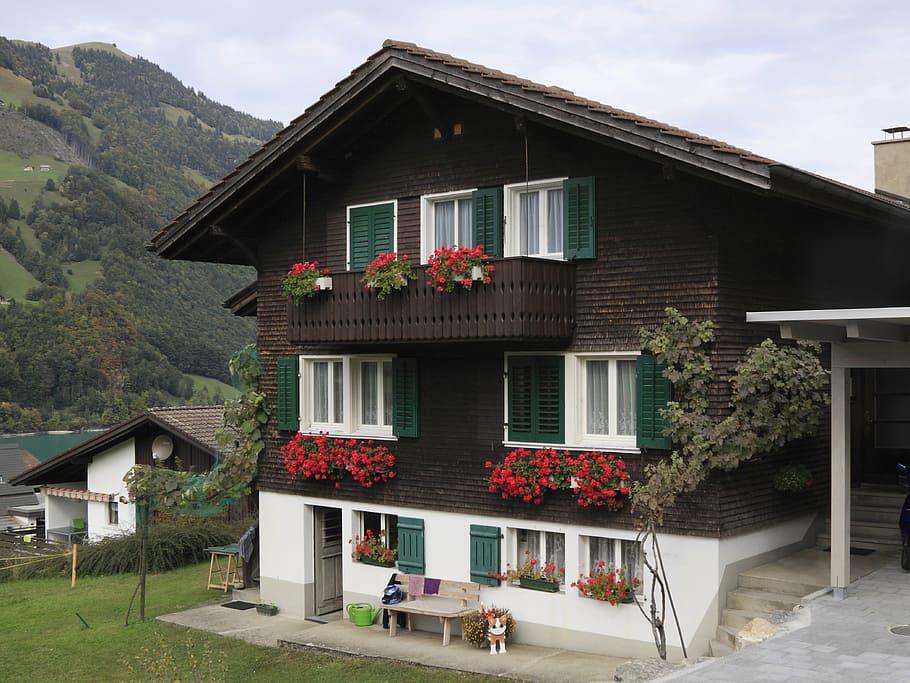switzerland, lucerne, building, mountain hut, chalet, home, brown, white, flowers, red