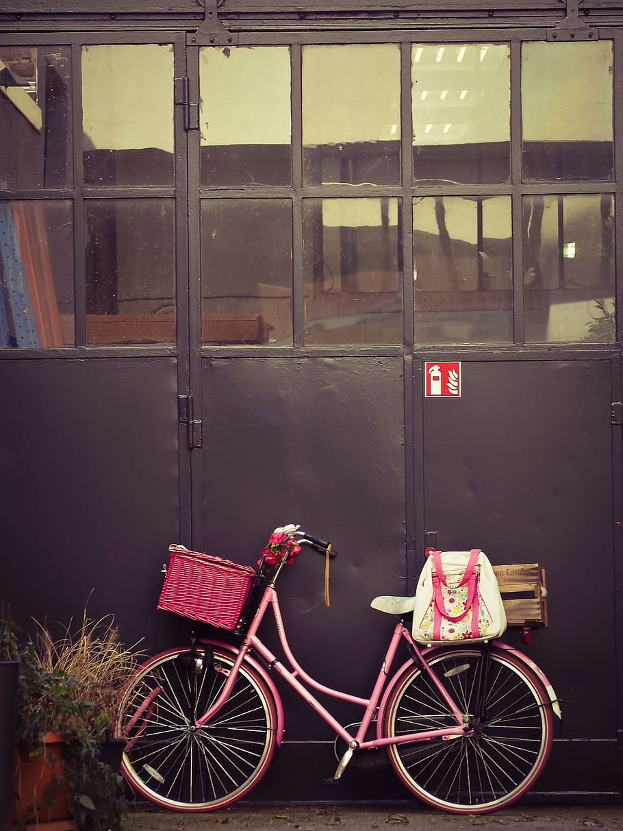 rosa, paso, bicicleta, inclinado, portón, plata, bicicleta de crucero, patio trasero, objetivo, edificio
