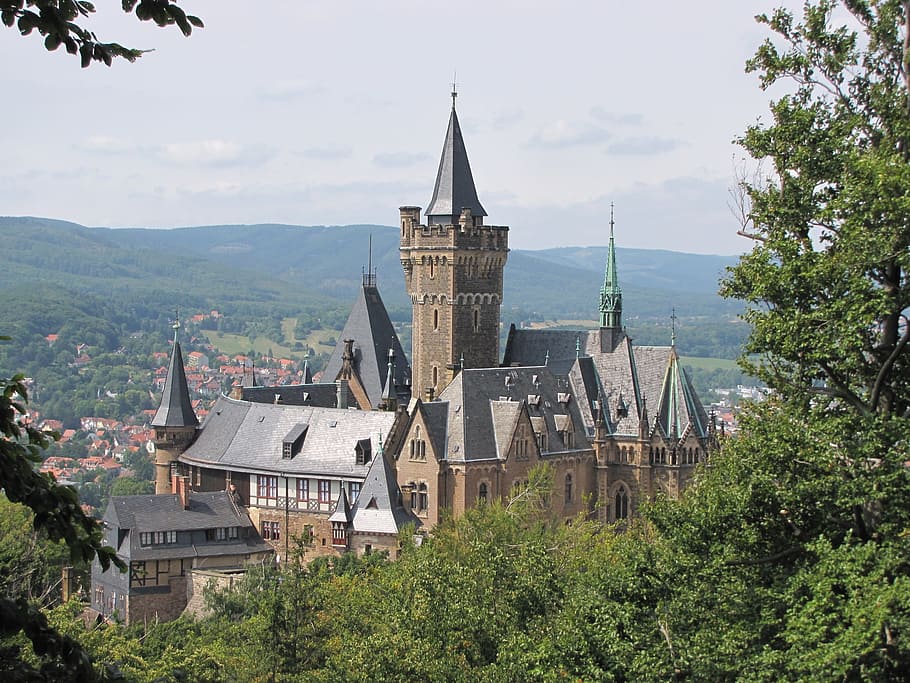 castle, wernigerode, resin, historically, built structure, architecture, building exterior, tree, building, plant
