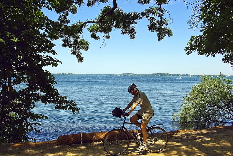 cyclist on lakeshore path, bicycle, trail, cycling, bike, nature, exercise, person, biking, man