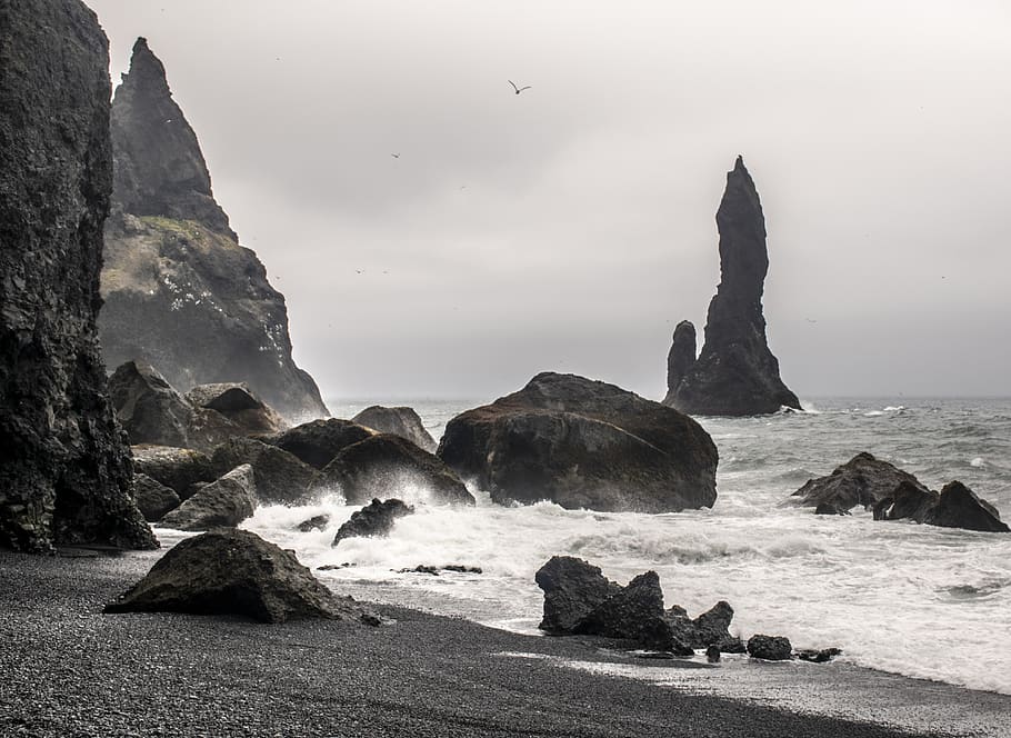 islandia, reynisfyara, pantai hitam, ombak, batu bergerigi, burung, laut, batu, air, batu - obyek