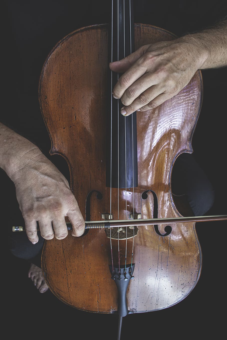 cello, podcast, bow, hands, palms, in process, musician, male, man, finger