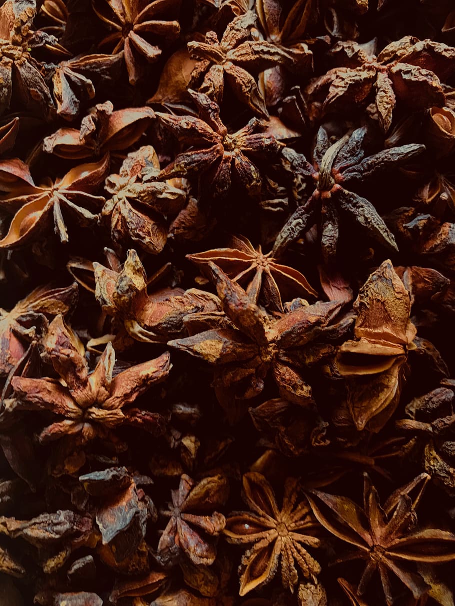 anise, starry, spices, cinnamon, aroma, food, christmas, smell, spezia, advent