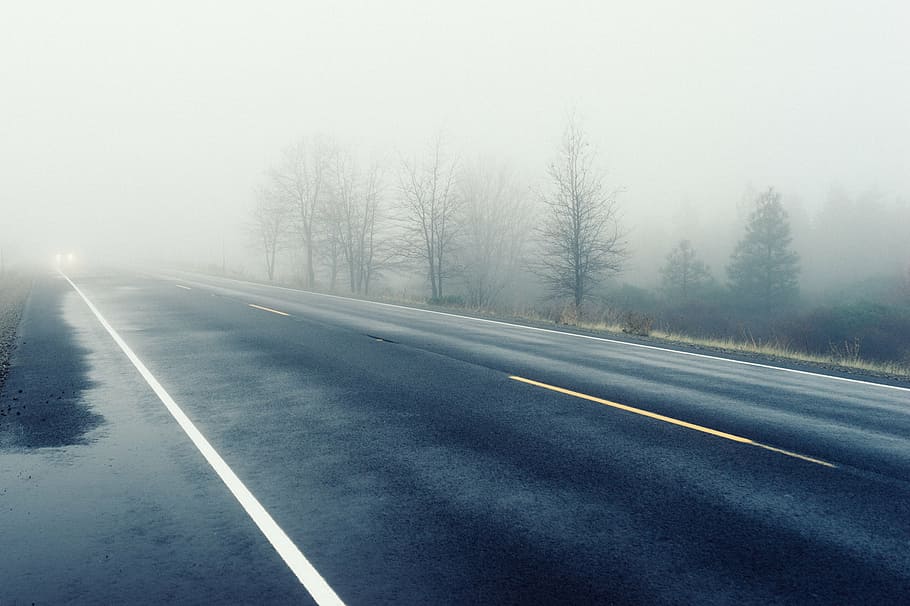road in mist, grey, asphalt, road, trees, fog, climate, headlights, car, haze