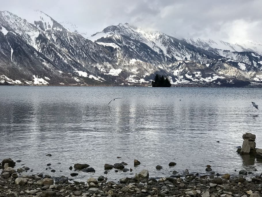 Suiza, Interlaken, montañas, lago, naturaleza, agua, montaña, belleza en la naturaleza, temperatura fría, invierno