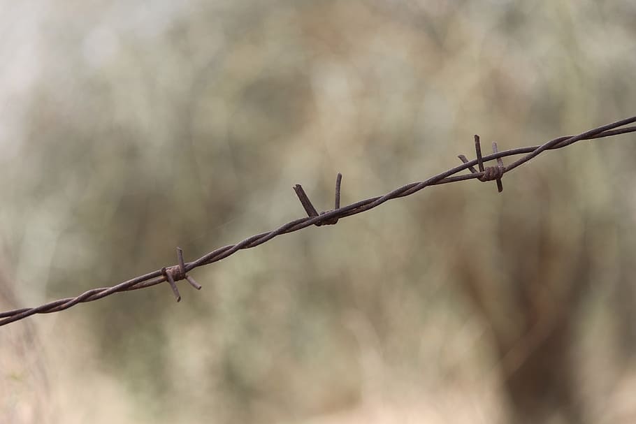 barbed wire, wire, barb wire, barbed, barb, prison, barrier, sharp, danger, security