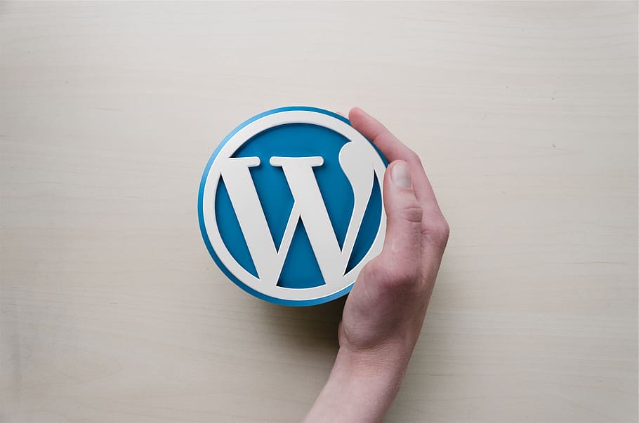 blanco, azul, caso westinghouse, wordpress, mano, logotipo, imagen de fondo, blogs, símbolo, icono