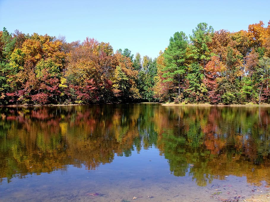 Musim Gugur, Dedaunan, Musim, refleksi, air, pemandangan, musiman, indah, danau, pohon