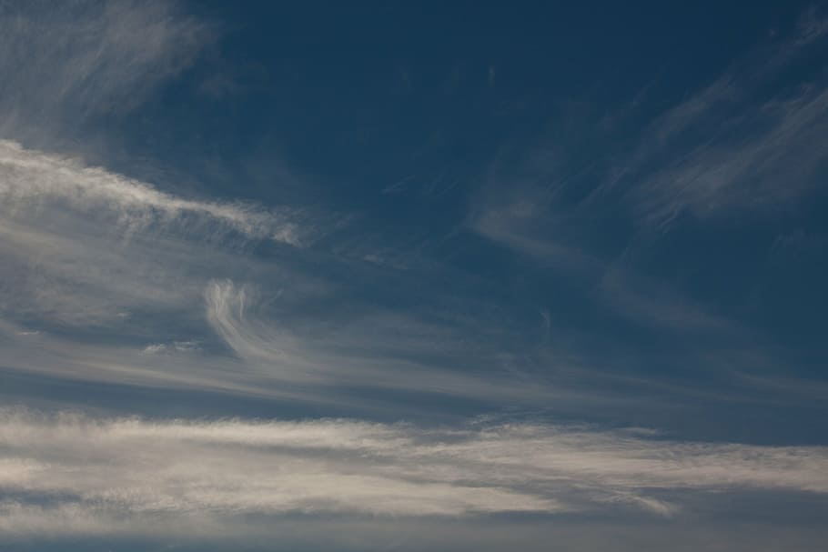 cirrus clouds, clouds, blue, sky, cloud, clear, sunny, beautiful, cirrus, federwolke
