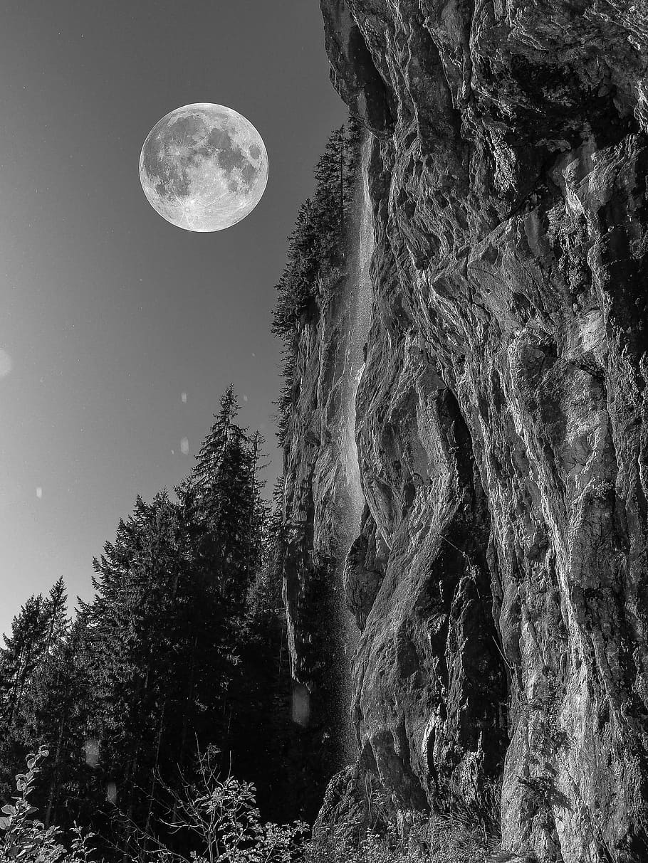 foto em escala de cinza, penhasco, árvore, cheia, lua, lua cheia, noite, rocha, floresta, alpino