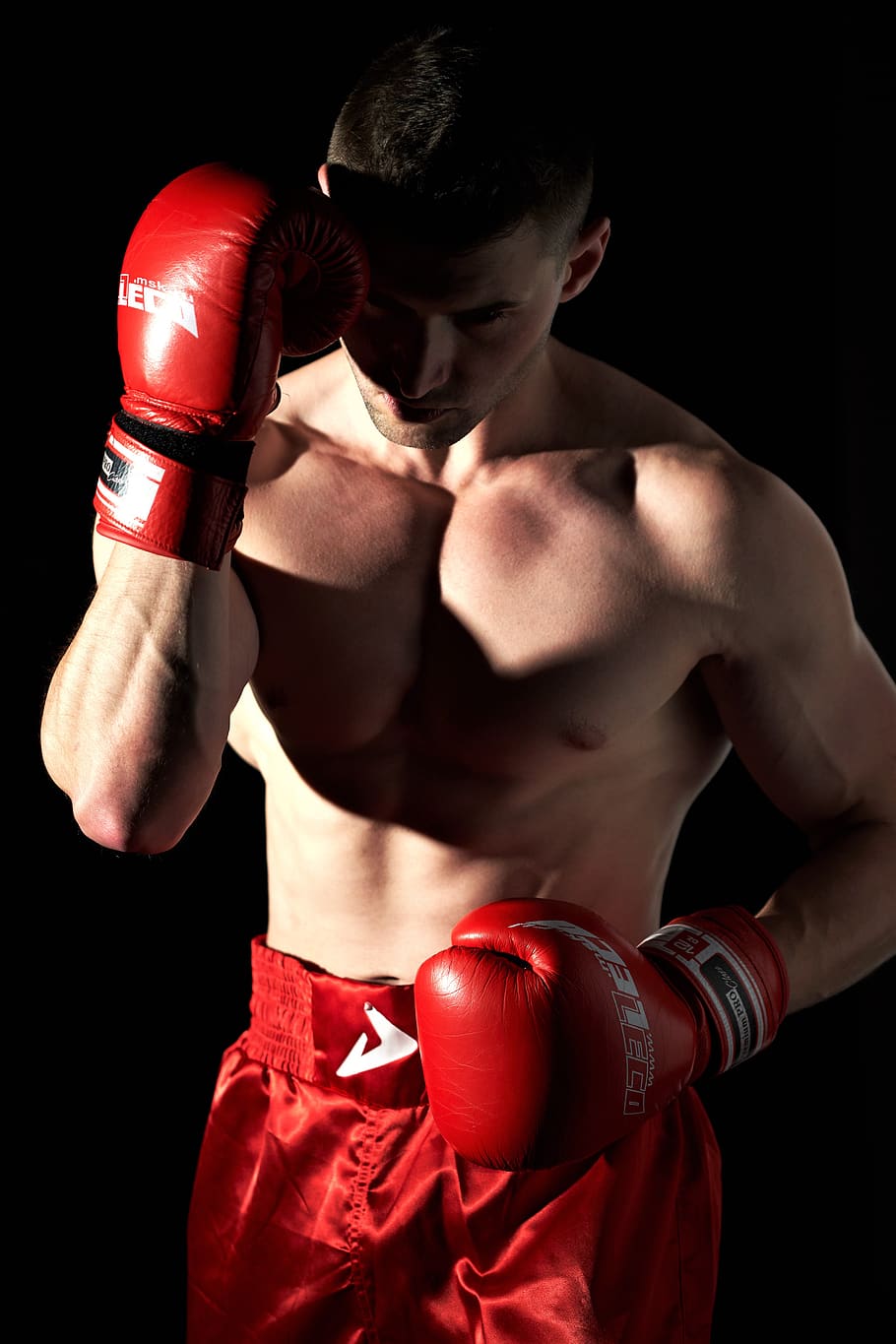 boxing, sport, sports, boxer, battle, gloves, kickboxing, athlete, fight, ufc