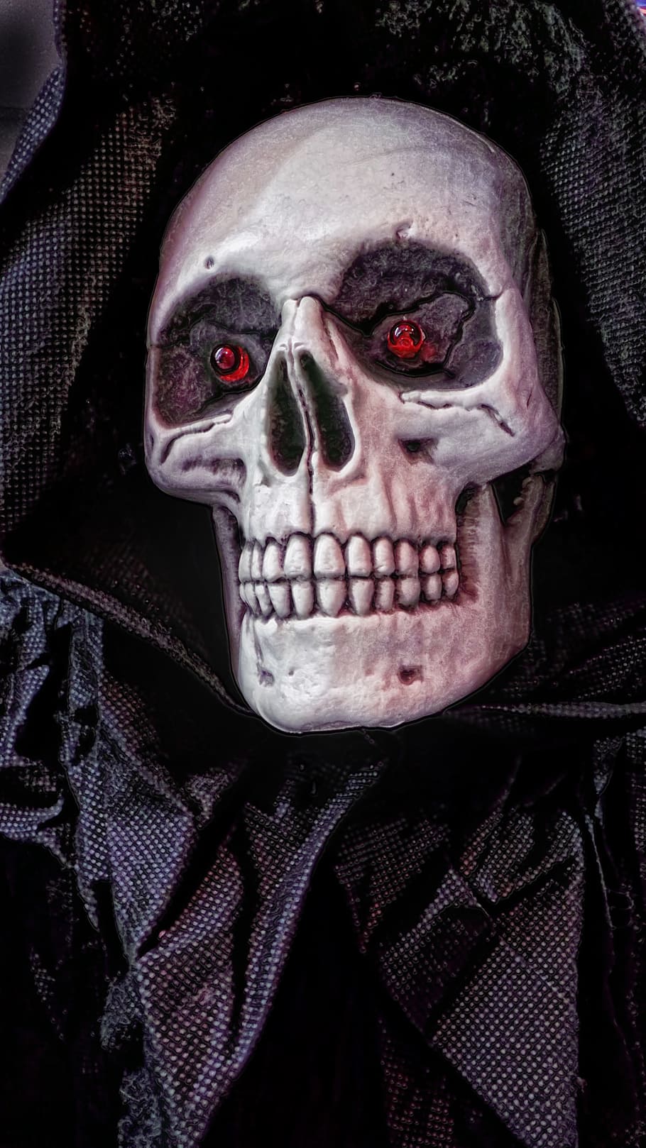 decoración de esqueleto humano, halloween, máscara, cráneo, fiesta, disfraz de halloween, máscara de disfraces, negro, muerte, terrorífico