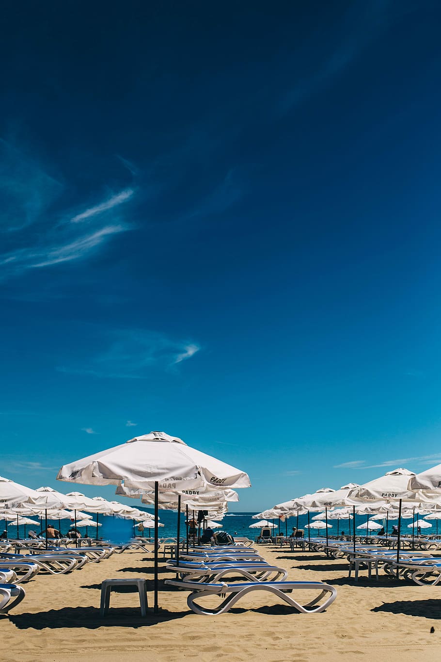 lounge chairs, sunny, beach, Umbrellas, lounge, chairs, Sunny Beach, Bulgaria, ocean, sand