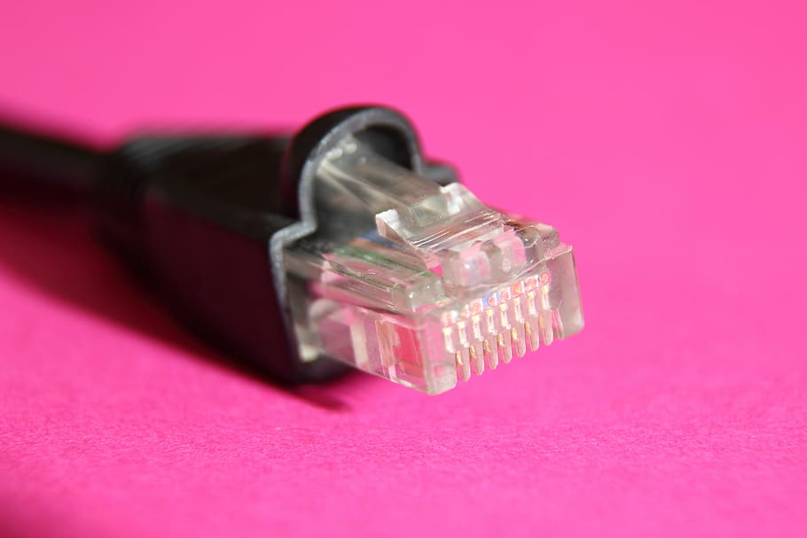 pc, plug, connection, peripheral, network, hardware, edp, connecting cable, computer, computer accessories