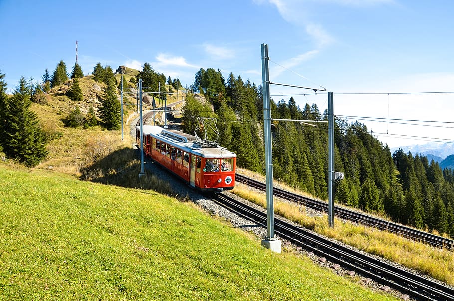rigi, alm, alp, vitznau-rigi railway, rack railway, train tracks, mountain railway, mountain, mountain meadow, rail transportation