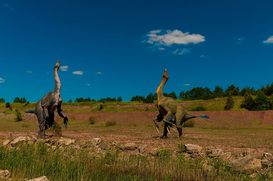 two, dinosaurs, green, grass field, blue, white, cloudy, sky, Dinosaur, Gad