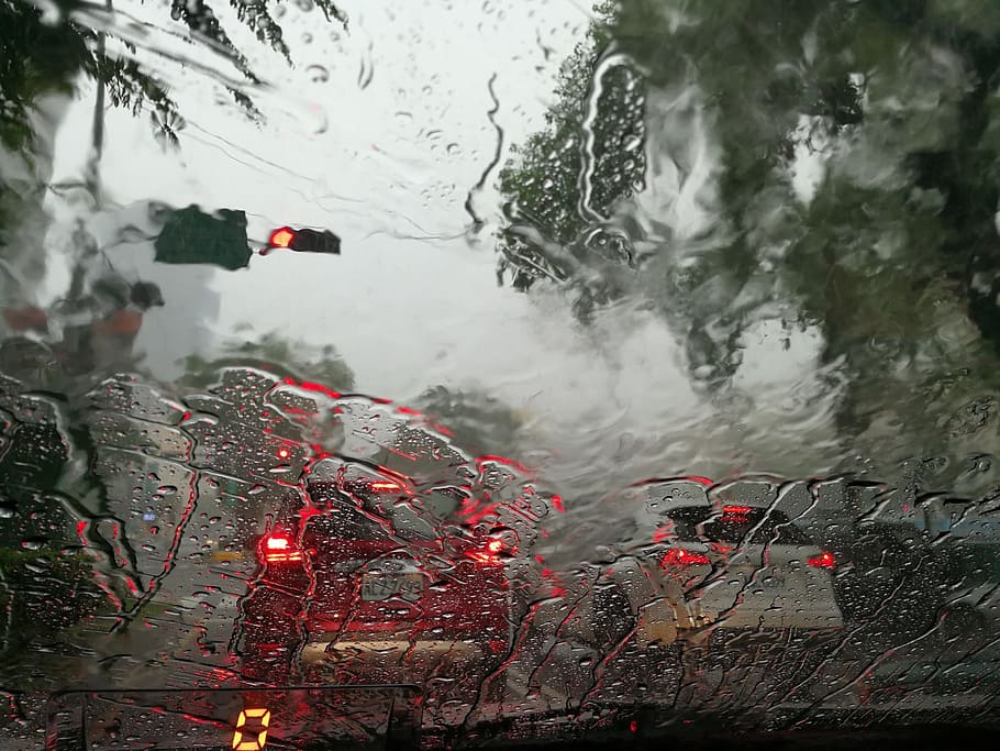 vidrio del vehículo mojado, lluvias, temporada de lluvias, lluvias torrenciales, verano, mojado, reflejo, automóvil, agua, árbol