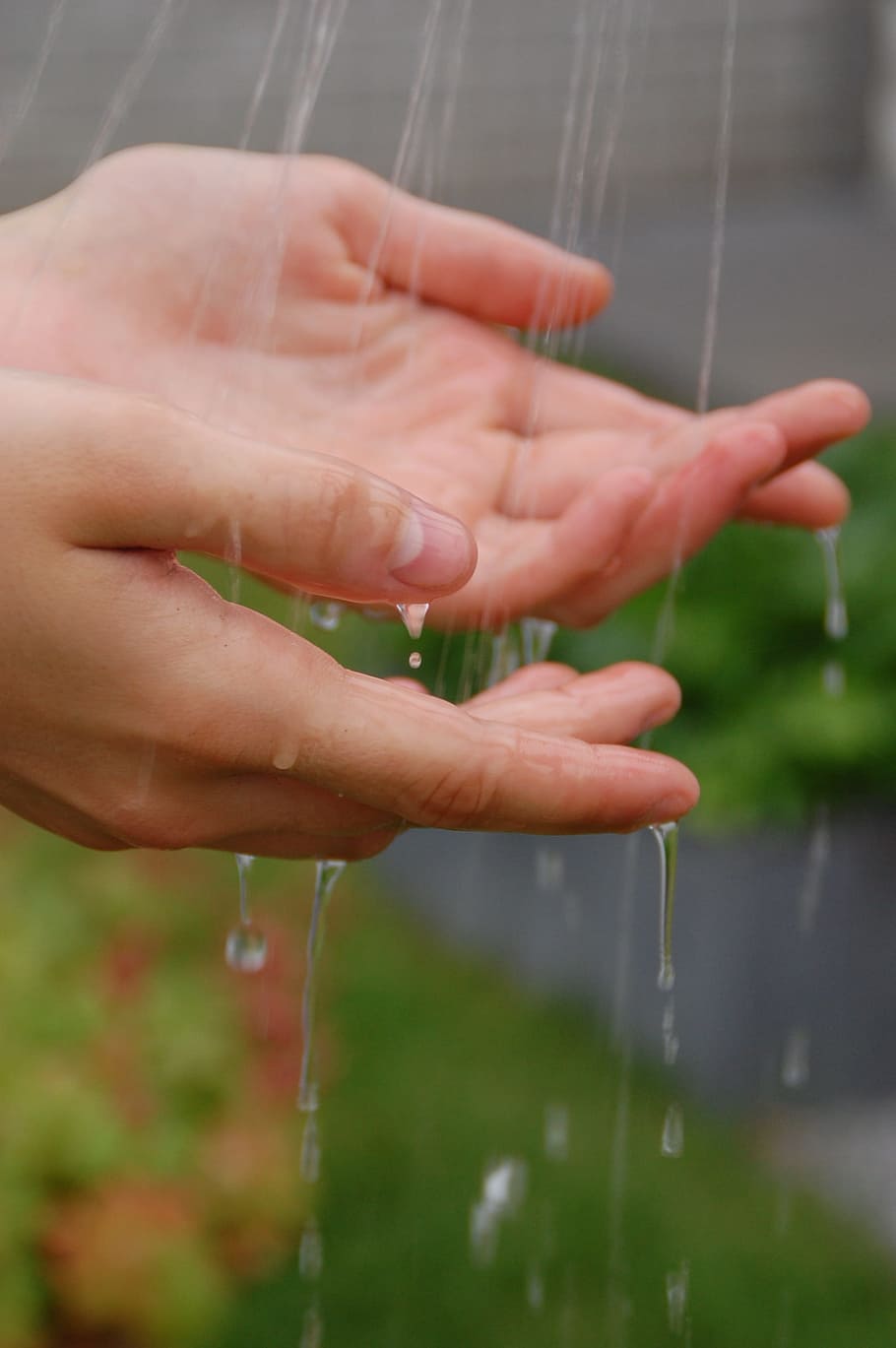 shallow, focus photography, person hands, shallow focus, photography, person, hands, water, drops of water, freshness