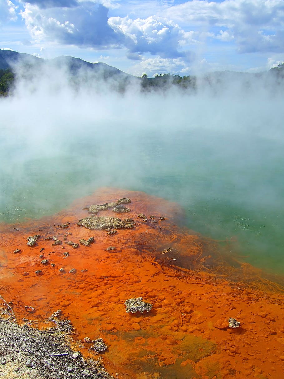 New Zealand, Rotorua, Geothermal, wai-o-tapu thermal wonderland, nature, steam, geyser, volcano, hot Spring, landscape