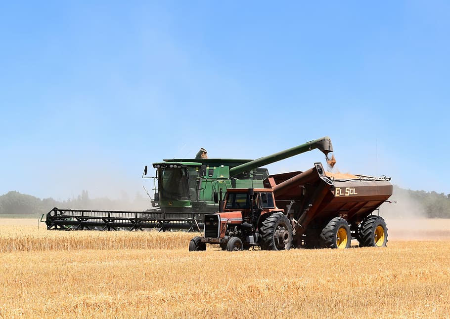 red, truck, filled, rice grains, blue, sky, combine harvester, tractor, hopper, harvest