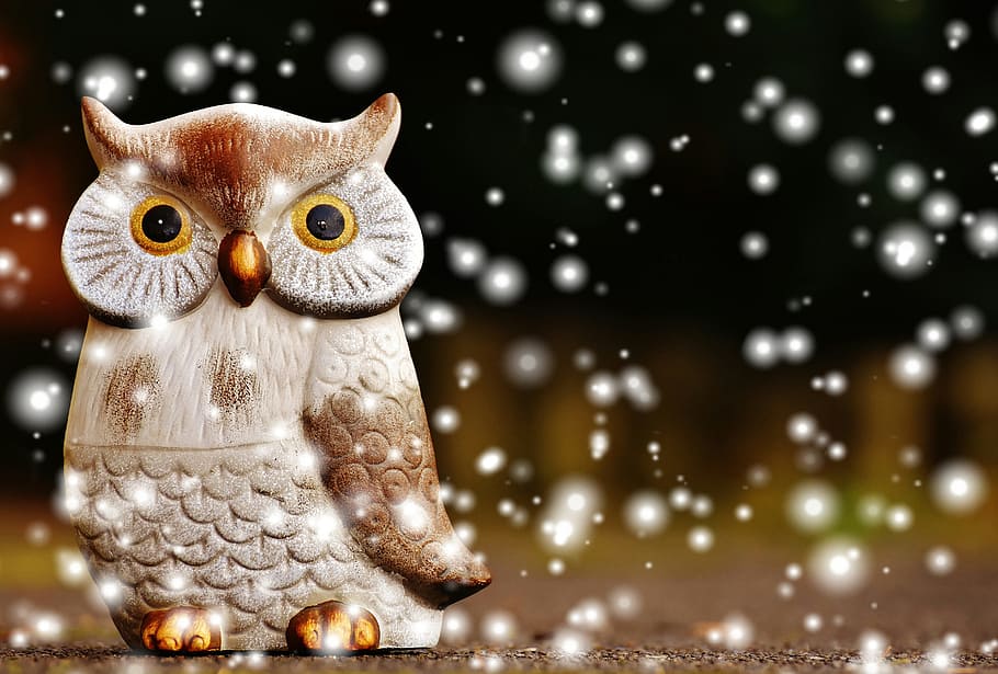 owl, bird, funny, snow, christmas, winter, ceramic, animal, cute, deco