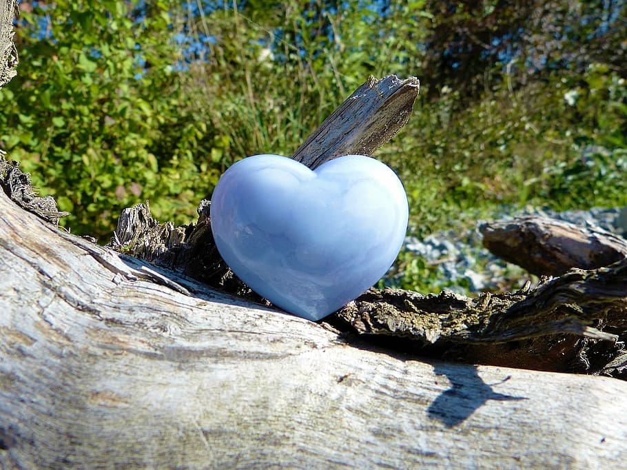 corazón, gris, decoración, tronco de madera, amor, naturaleza, calcedonia, azul claro, suerte, piedra