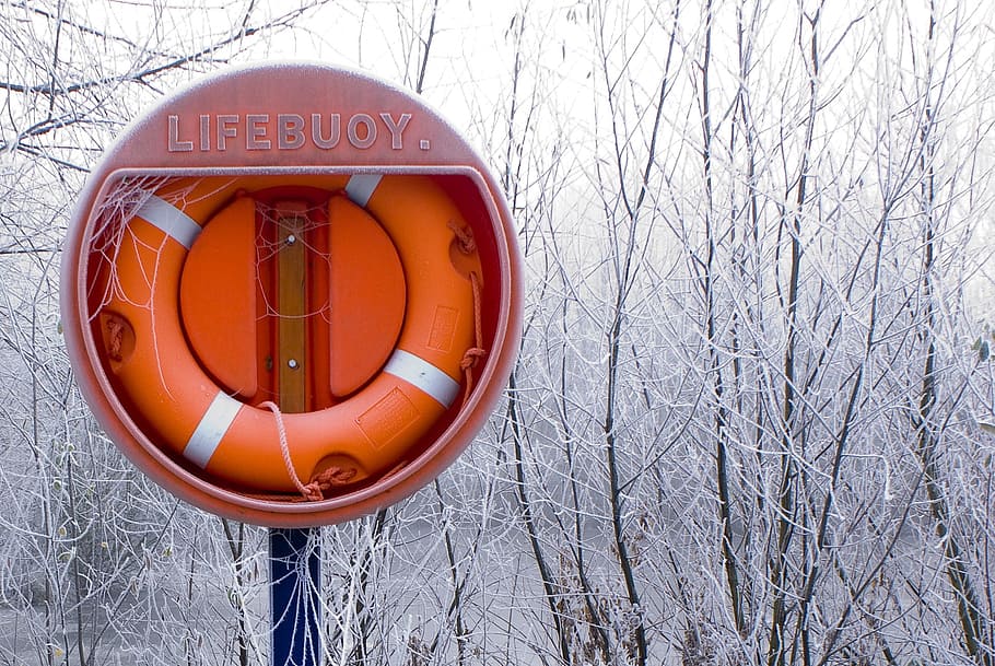 winter, frost, life, buoy, lifesaver, nature, cold, snow, park, january
