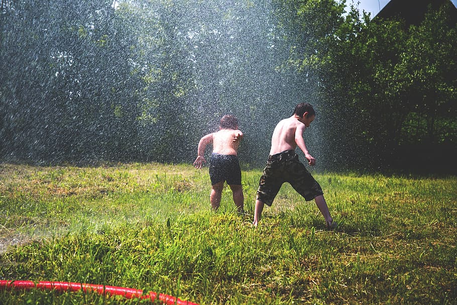 boys, children, people, play, water, hose, sprinklers, splash, grass, trees