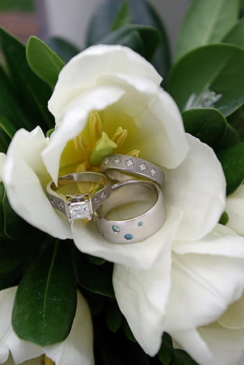 flowers-rings-liabilities-royalty-free-thumbnail.jpg