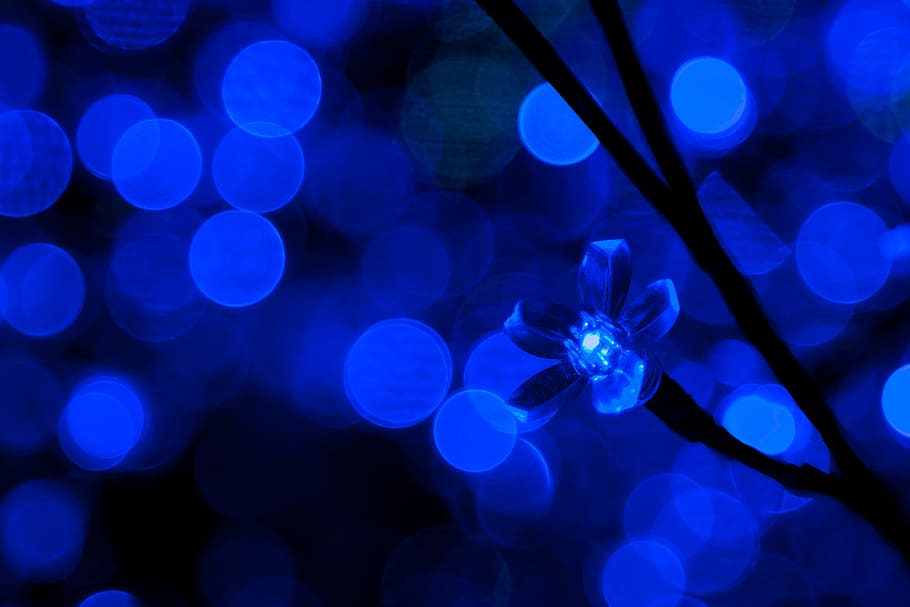 blue, flower, bokeh photography, background, bulb, christmas, light, emitting, diode, glow