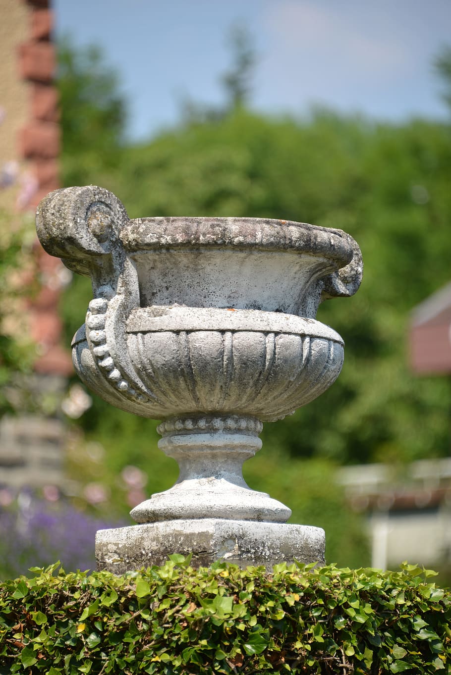 Pot, Vessel, Greek, Romans, Old, decorative, arts crafts, antique, overgrown, rock carving