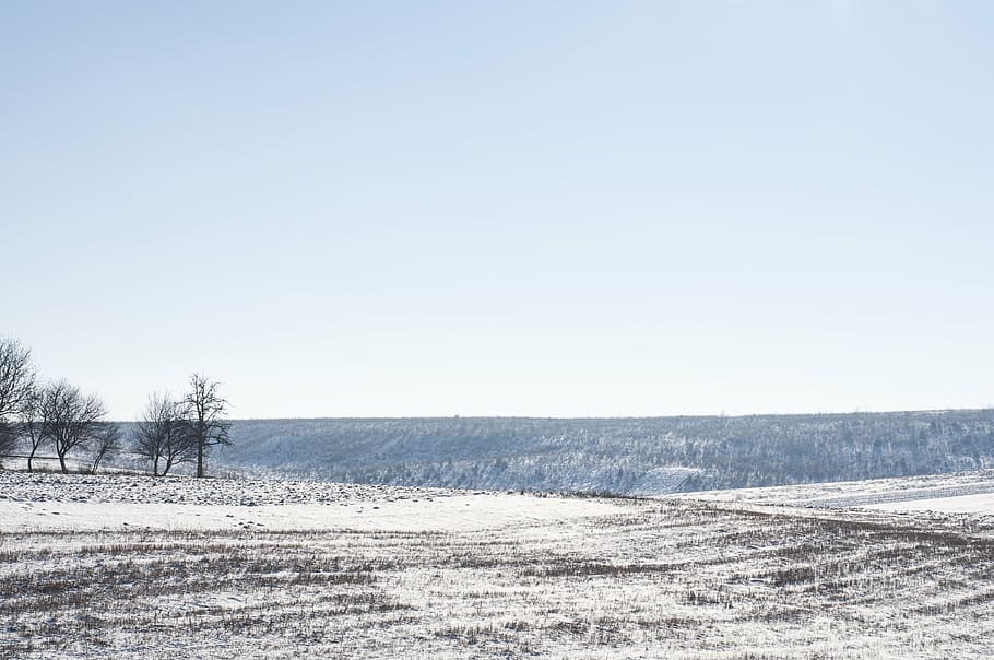 foto del paisaje, arena, árboles, blanco, marrón, suelo, cielo, invierno, nieve, frío