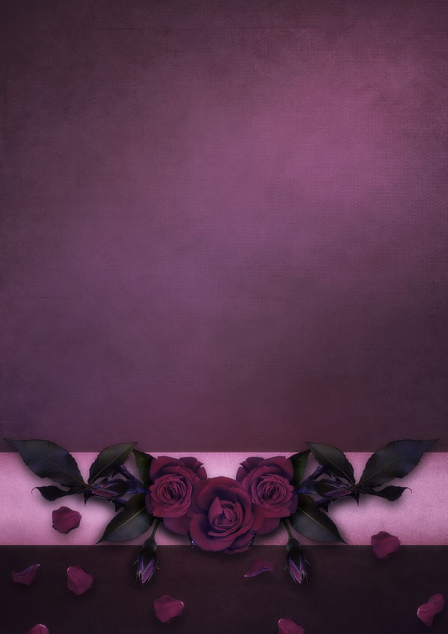 flowers, roses, romantic, gothic, background, copy space, petals, greeting card, greeting, birthday